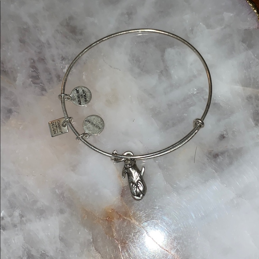 Alex and ani otter bracelet silver tone